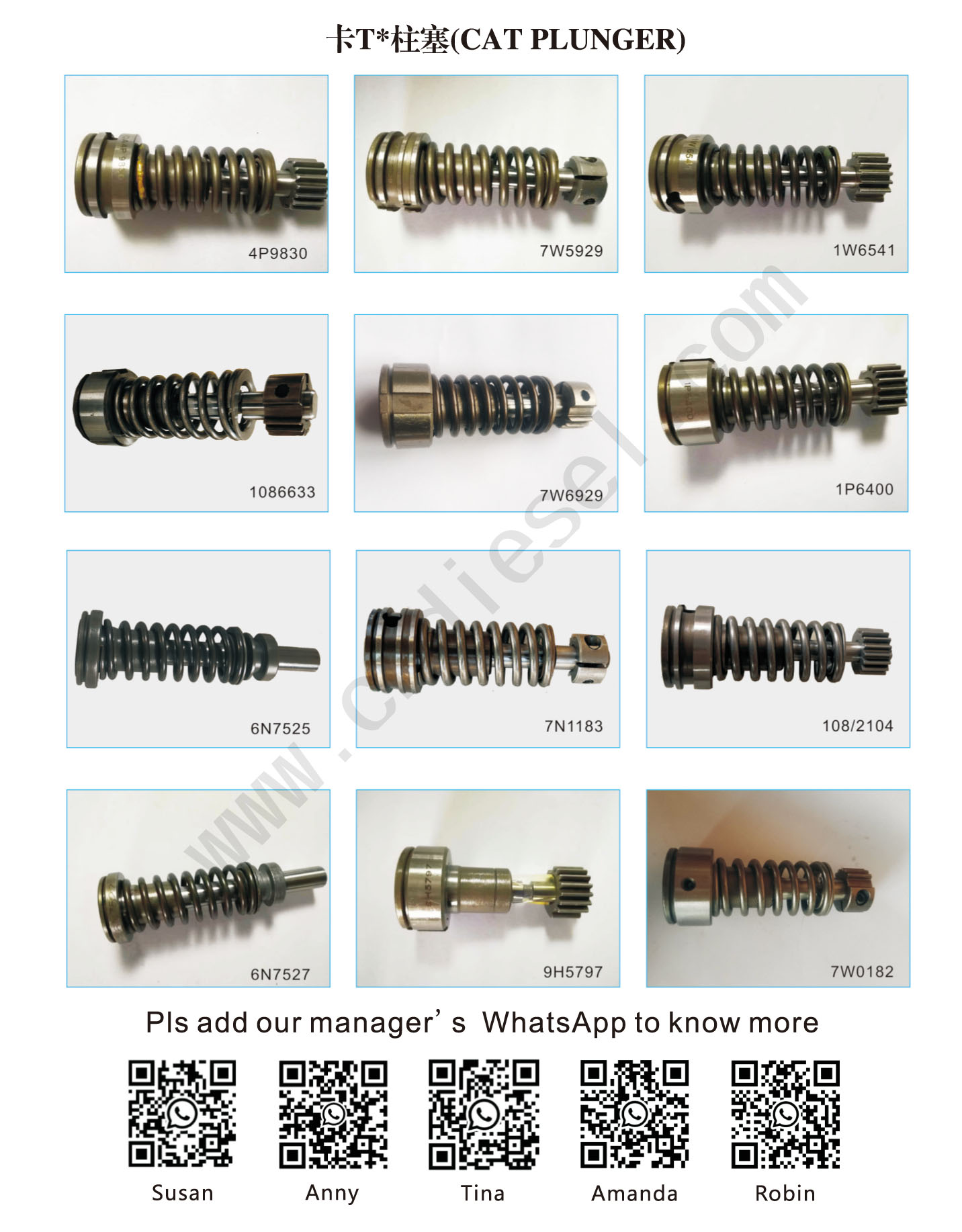 CAT PLUNGERCATALOG