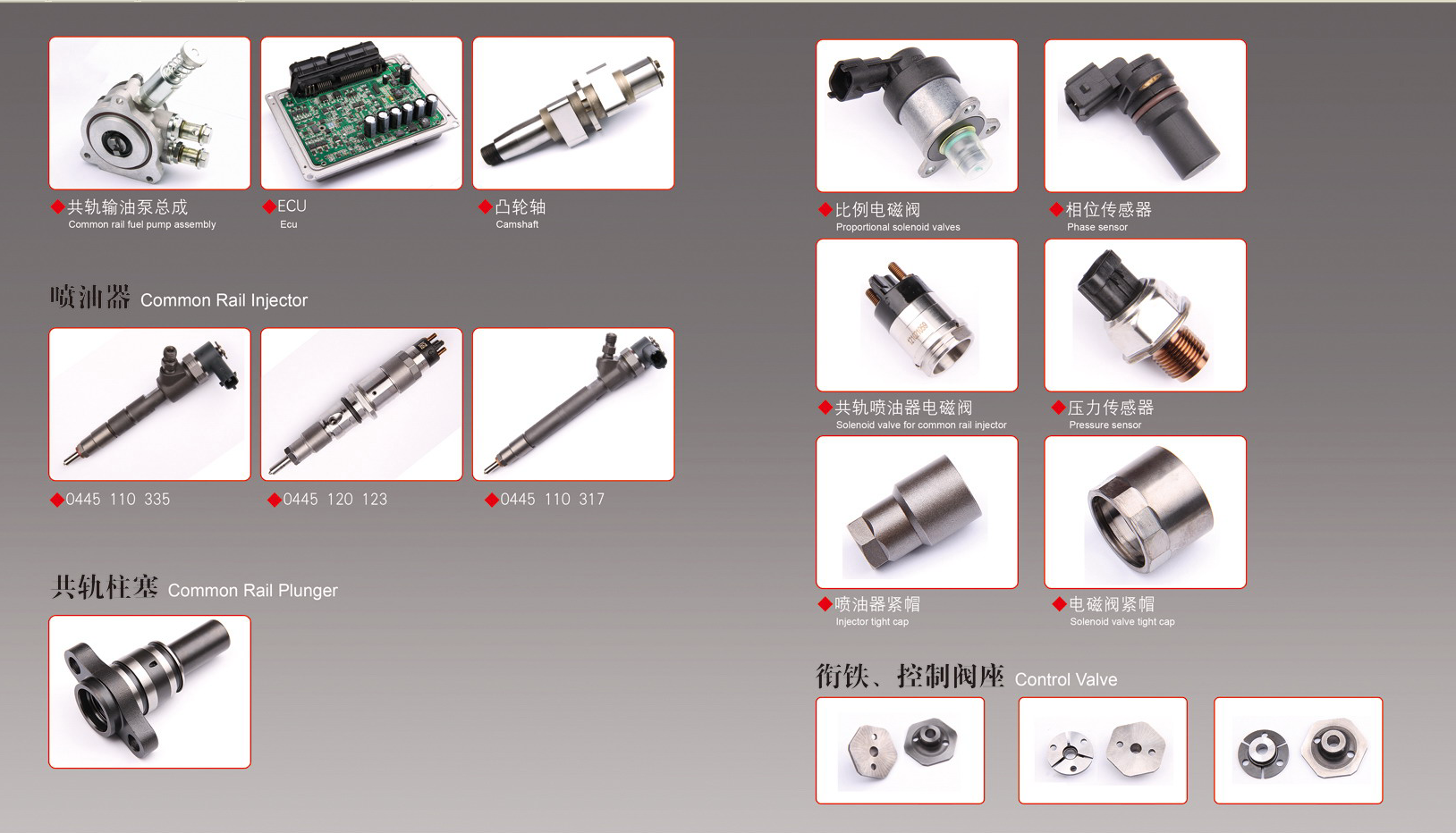 COMMON RAIL PARTS